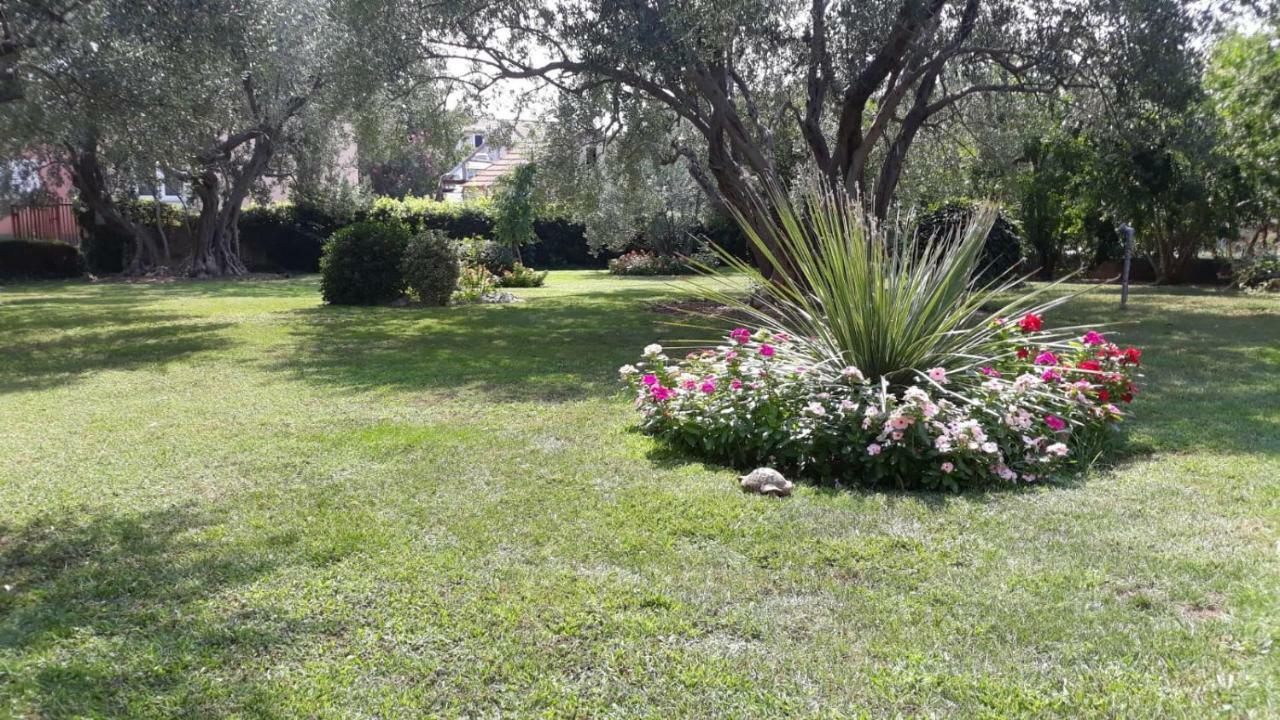Apartmani Seka Vodice Luaran gambar